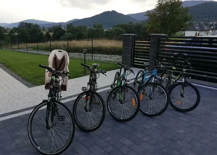 Gorskie Widoki Kolo Szczyrku Διαμέρισμα *